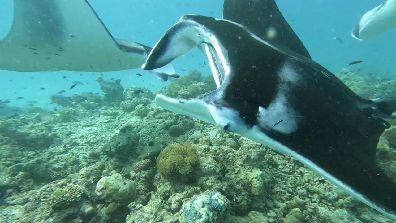 Paguro Beach Inn Ukulhas Island Luaran gambar